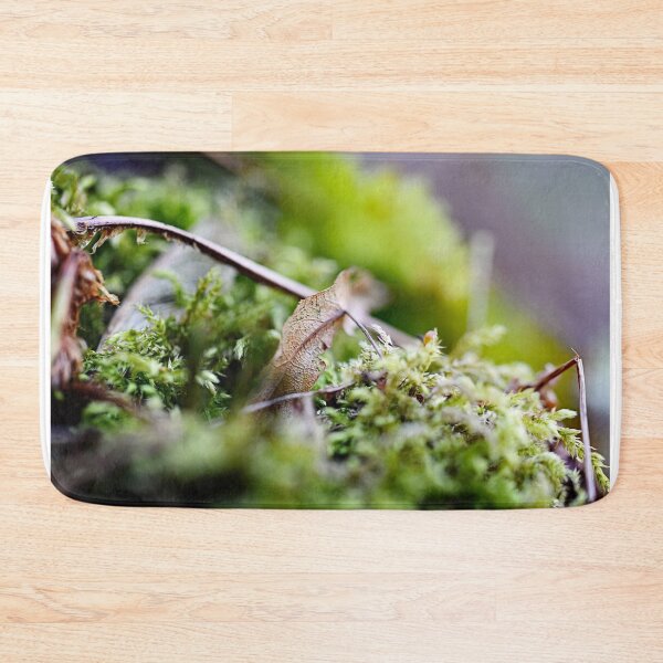 Item preview, Small autumn landscape designed and sold by ODENWALD-Natur.