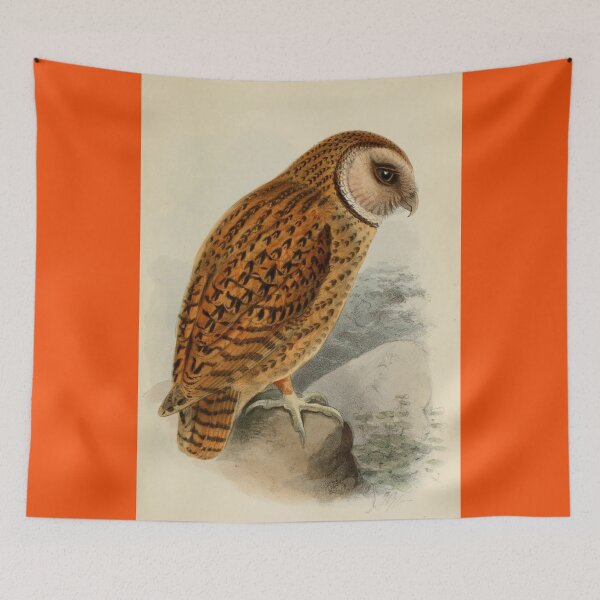 Item preview, Beautiful Owl on the Mountain designed and sold by laguitan10.
