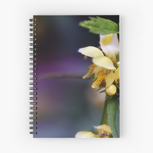 Item preview, Yellow nettle designed and sold by ODENWALD-Natur.