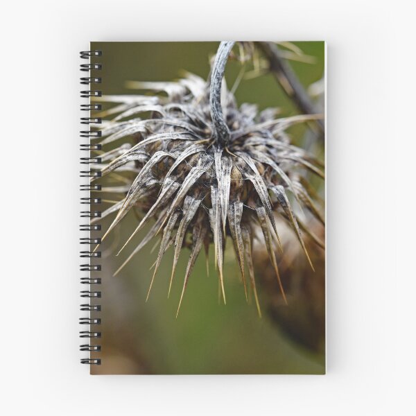 Item preview, When the splendor fades designed and sold by ODENWALD-Natur.