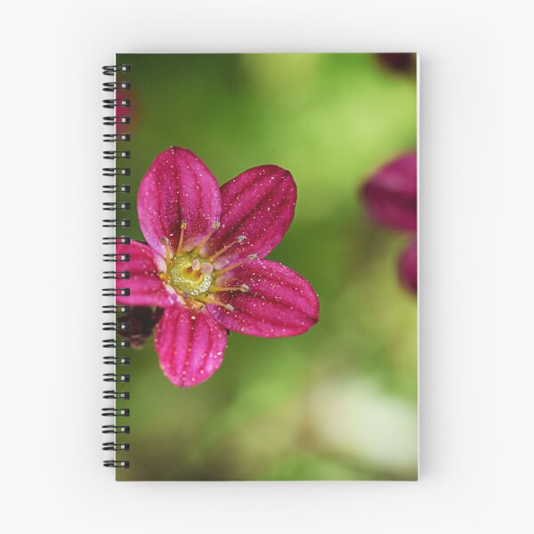 Item preview, Full of pollen for the bees designed and sold by ODENWALD-Natur.