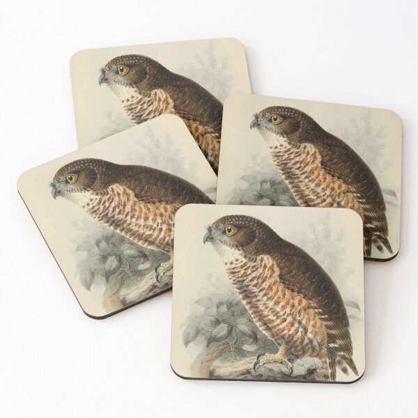 Item preview, Sumba Hawk Owl Painting designed and sold by laguitan10.