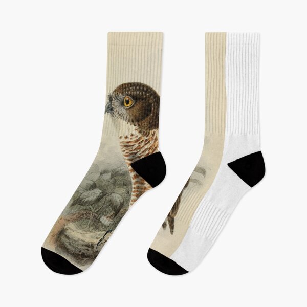 Item preview, Sumba Hawk Owl Painting designed and sold by laguitan10.