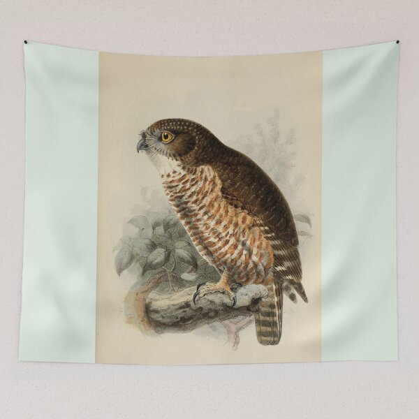 Item preview, Sumba Hawk Owl Painting designed and sold by laguitan10.