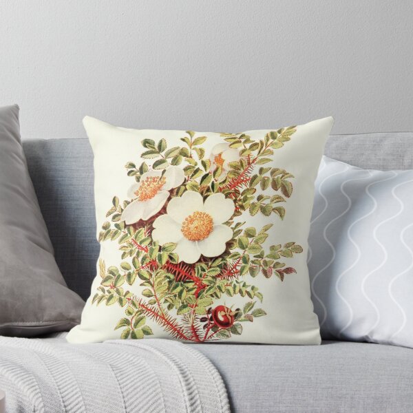 Item preview, Scotch Rose - Plant-life - Botanical Illustration designed and sold by chimakingthings.