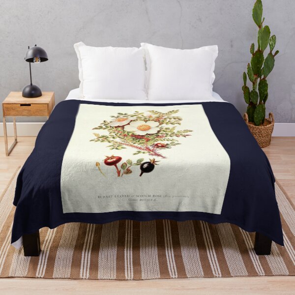 Item preview, Scotch Rose - Plant-life - Botanical Illustration designed and sold by chimakingthings.