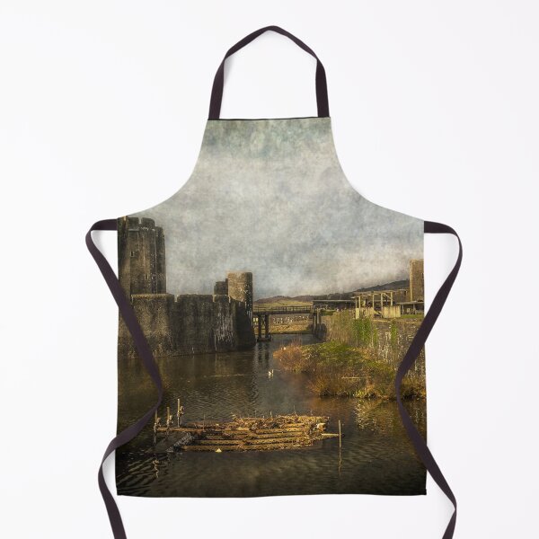Item preview, Inner Moat At Caerphilly Castle designed and sold by IanWL.