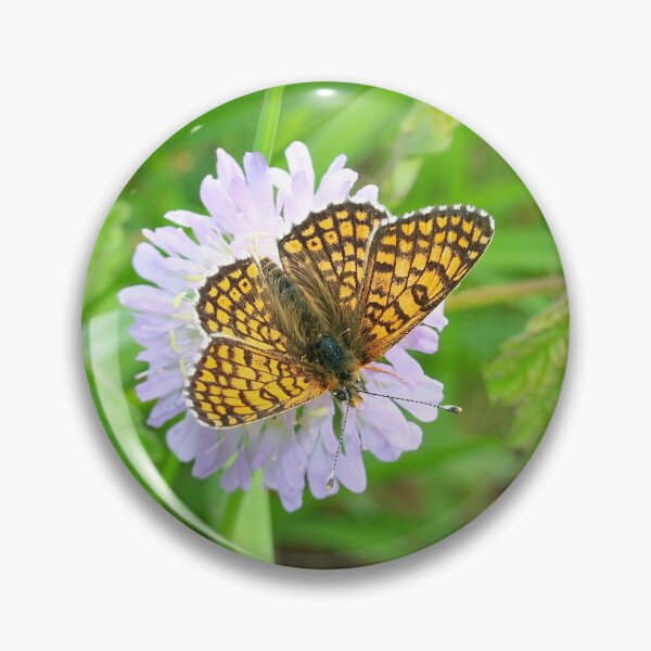 Item preview, Plantain butterfly designed and sold by NW-Photo-Art.