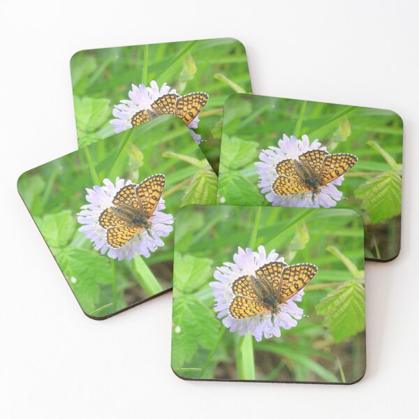 Item preview, Plantain butterfly designed and sold by NW-Photo-Art.