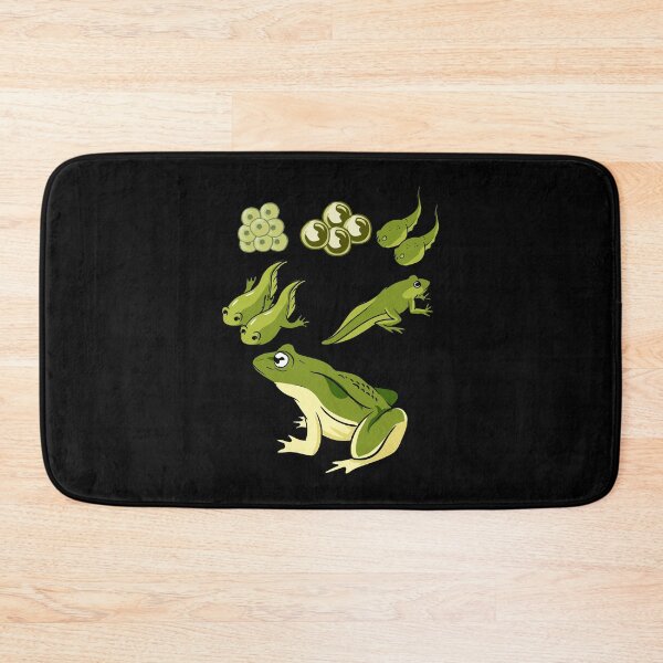 Item preview, Biology - Frog Lifecycle designed and sold by Britta75.