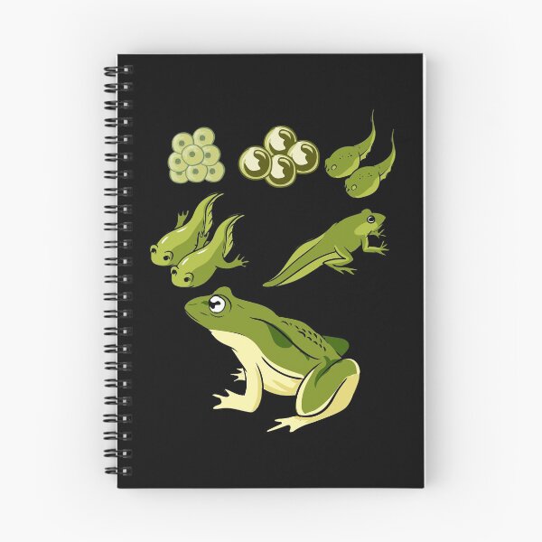 Item preview, Biology - Frog Lifecycle designed and sold by Britta75.