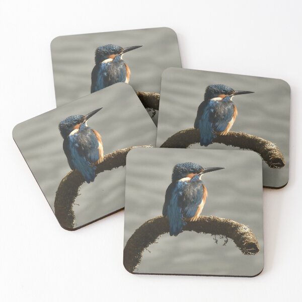 Item preview, Kingfisher designed and sold by Derren Jones.
