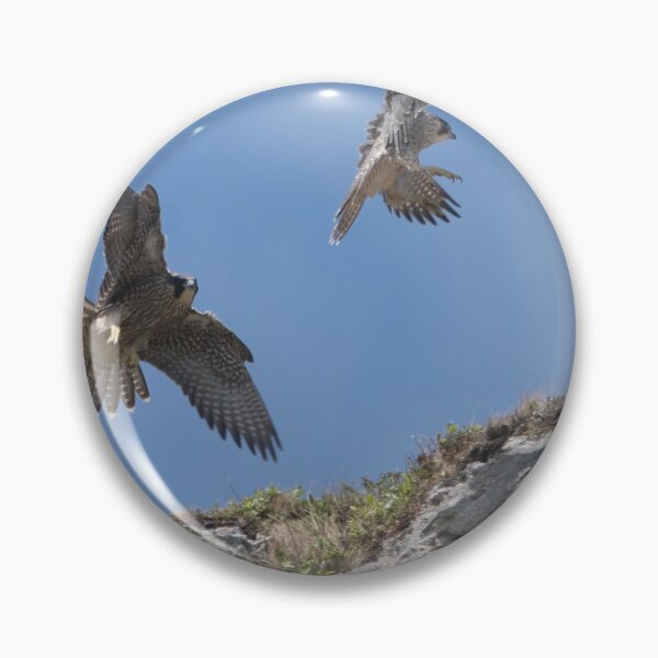 Item preview, Peregrine Pair designed and sold by Derren Jones.