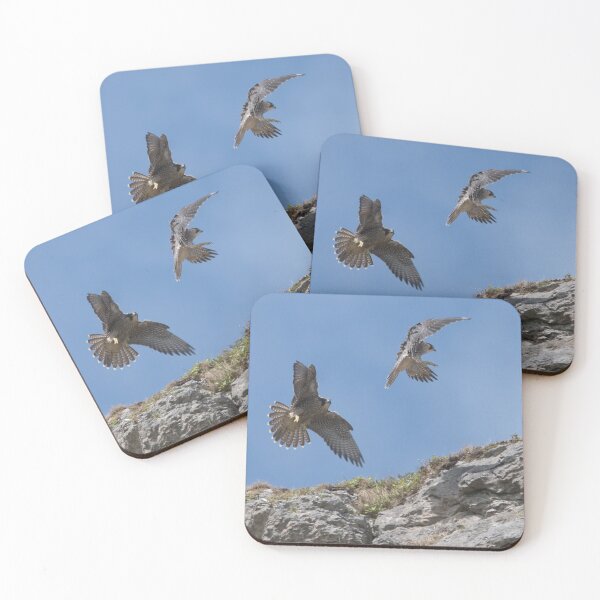 Item preview, Peregrine Pair designed and sold by Derren Jones.