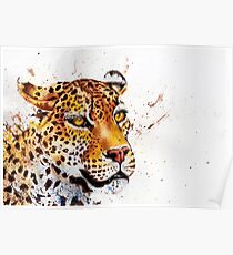 Leopard Poster