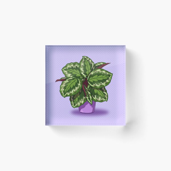 Item preview, Calathea Medallion designed and sold by Fee Lilly.