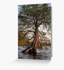 Truncated Greeting Card
