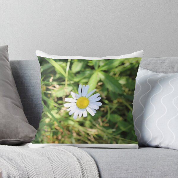 Item preview, Daisies  designed and sold by SashaHanham.