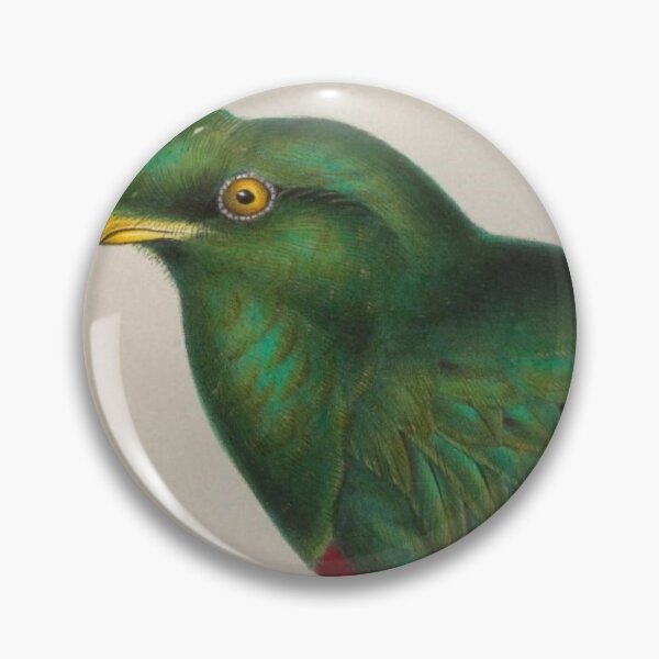 Item preview, Masked Trogon of South America designed and sold by laguitan10.