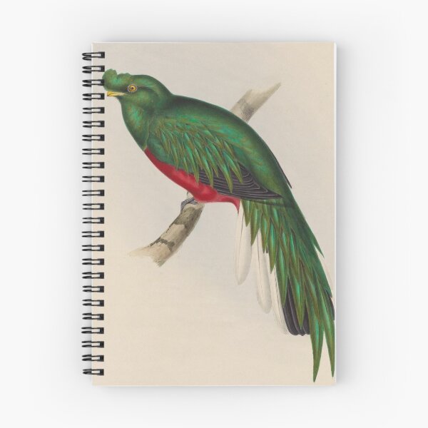 Item preview, Masked Trogon of South America designed and sold by laguitan10.