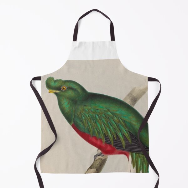Item preview, Masked Trogon of South America designed and sold by laguitan10.