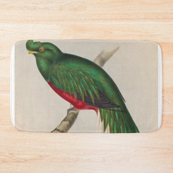 Item preview, Masked Trogon of South America designed and sold by laguitan10.