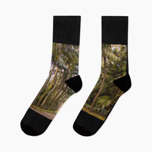 Item preview, Woman walking in park, enjoying alone and quiet time. Travel destination, Azores. designed and sold by AylaHarbich.