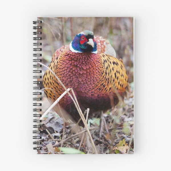 Item preview, Pheasant in the undergrowth designed and sold by Tom Page.