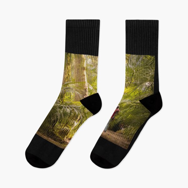 Item preview, Palm trees. Woman walking in park, enjoying alone and quiet time. Travel destination, Azores. designed and sold by AylaHarbich.
