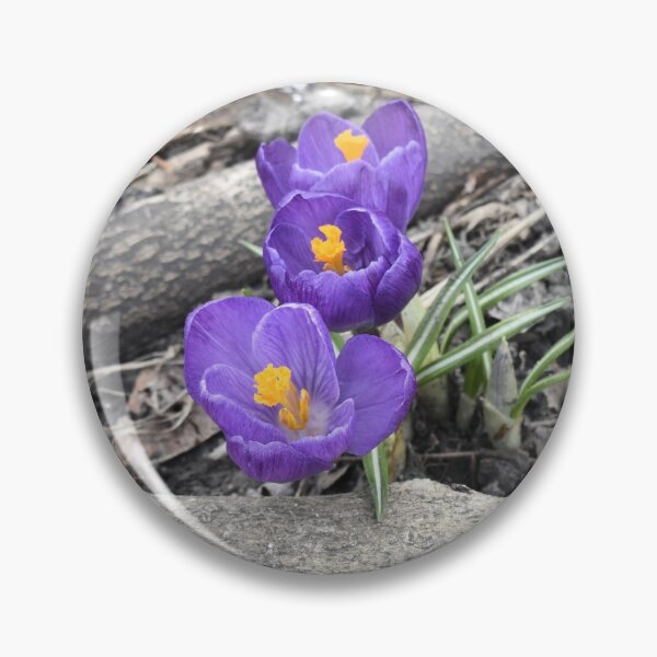 Item preview, Crocus Between Logs designed and sold by Kathleen Brant.