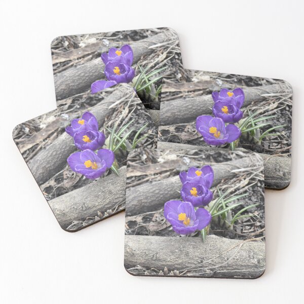 Item preview, Crocus Between Logs designed and sold by Kathleen Brant.