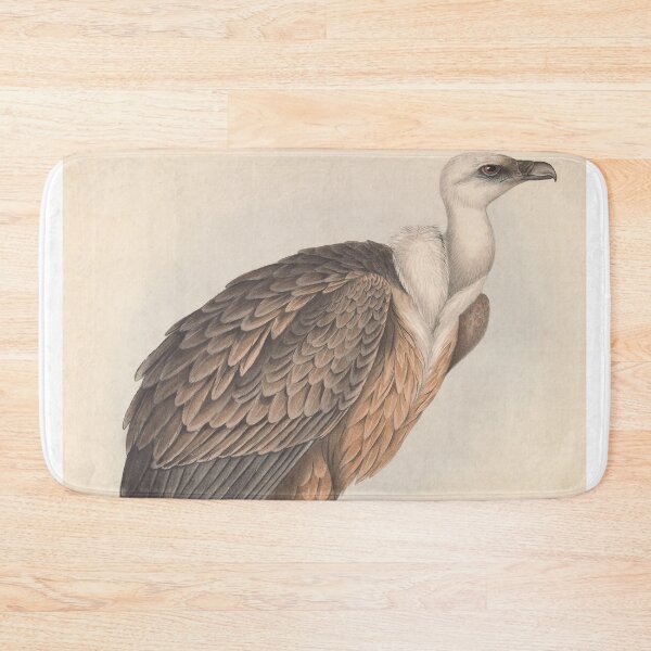 Item preview, Himalayan Griffon Vulture designed and sold by laguitan10.