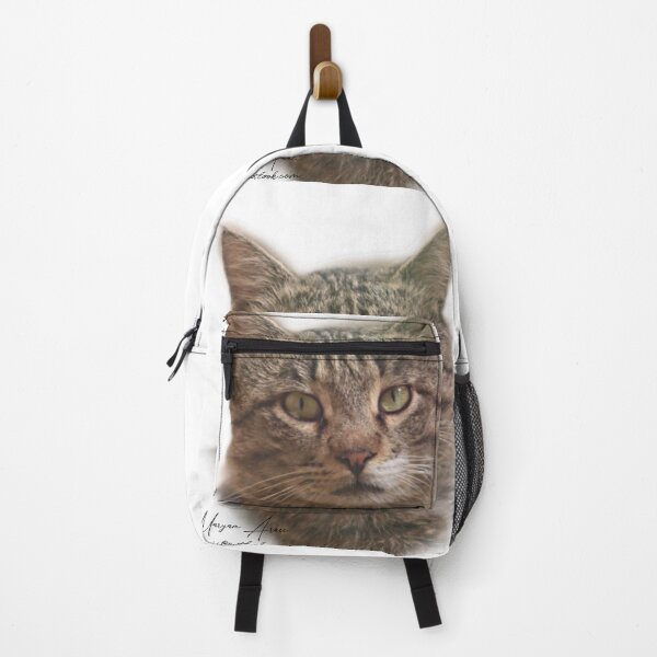hello neighbor backpacks