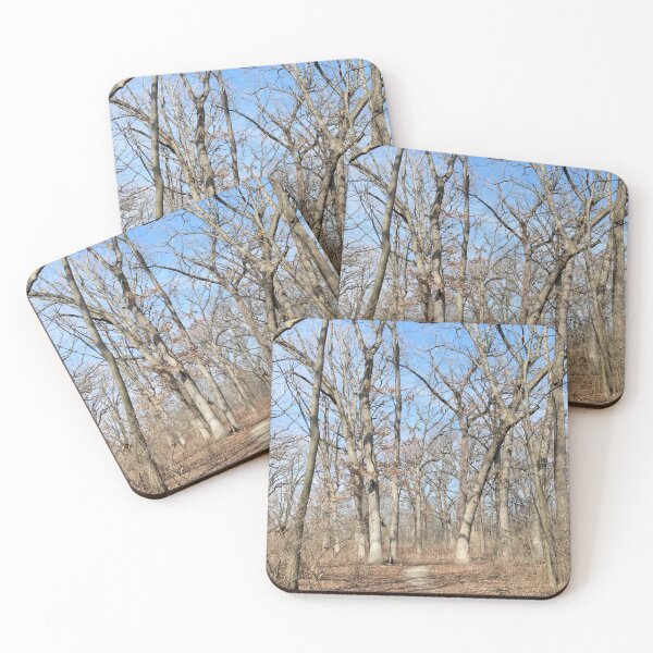 Item preview, Footpath in the Woods designed and sold by Kathleen Brant.