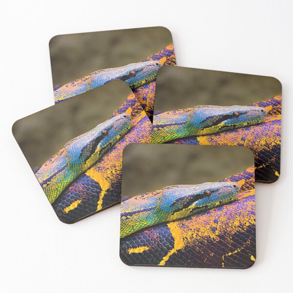 Item preview, An Amaru Python Waiting For A Strong Hug designed and sold by alabca.