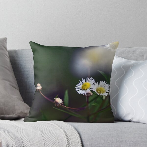 Item preview, Daisies in sunset designed and sold by ODENWALD-Natur.