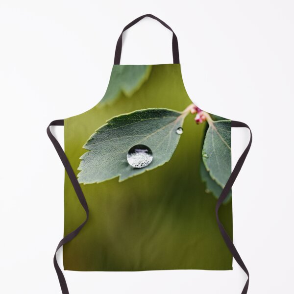 Item preview, Lotus effect in the Odenwald designed and sold by ODENWALD-Natur.