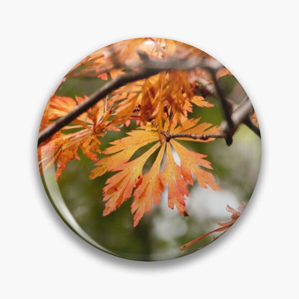 Item preview, Orange Hues at Viewfield designed and sold by Susan Henry.
