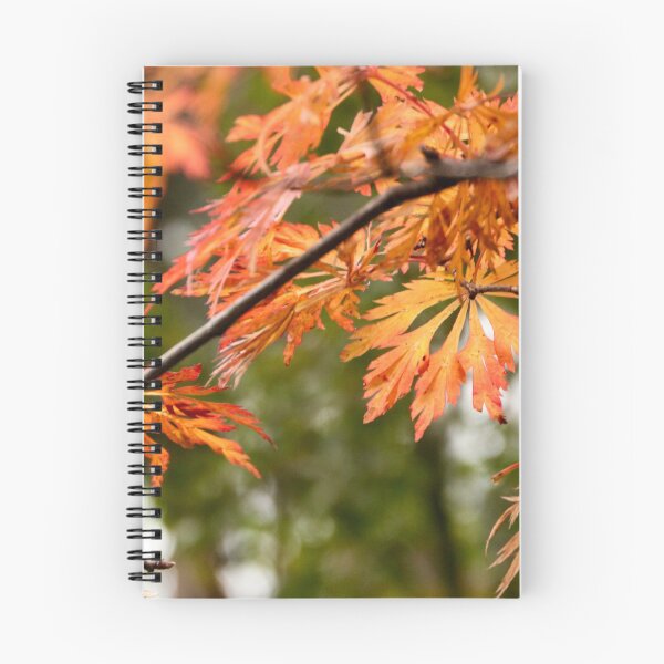 Item preview, Orange Hues at Viewfield designed and sold by Susan Henry.