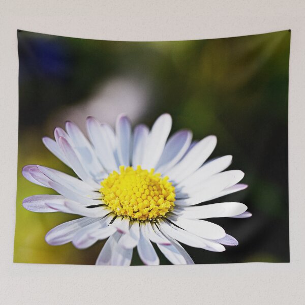 Item preview, daisy designed and sold by ODENWALD-Natur.