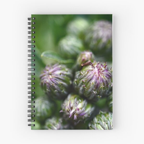 Item preview, Many buds of flowers designed and sold by ODENWALD-Natur.
