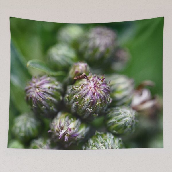 Item preview, Many buds of flowers designed and sold by ODENWALD-Natur.