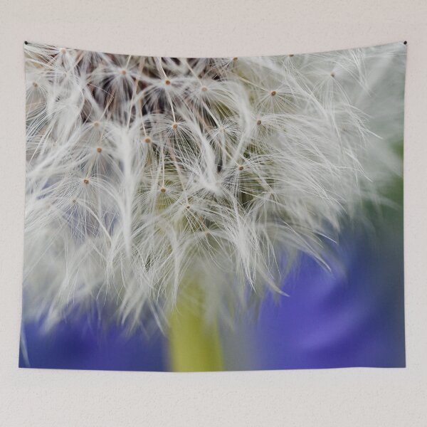Item preview, Dandelion in detail designed and sold by ODENWALD-Natur.