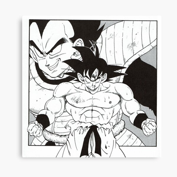 Goku vs Vegeta first match Goku vs Vegeta first match
