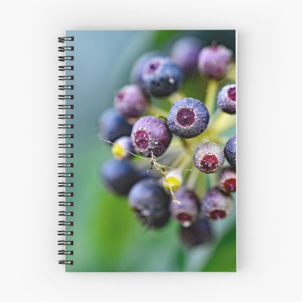 Item preview, Forest berries on the bush designed and sold by ODENWALD-Natur.