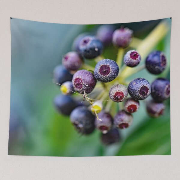 Item preview, Forest berries on the bush designed and sold by ODENWALD-Natur.