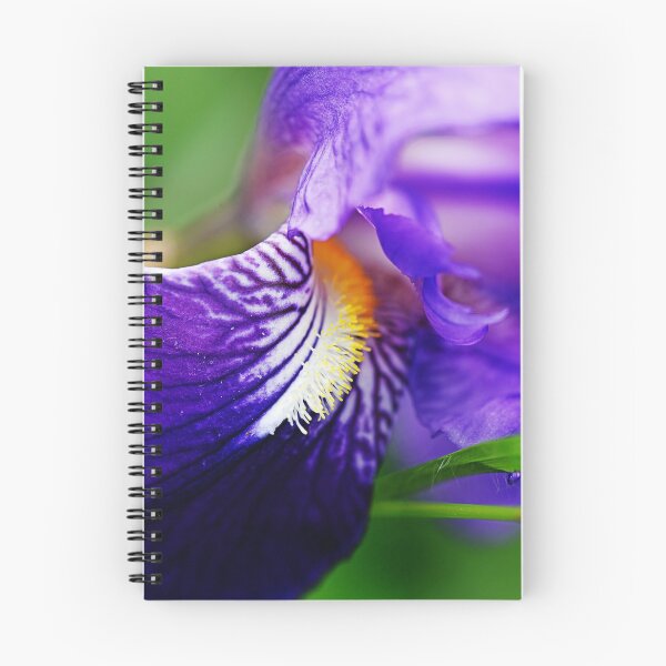 Item preview, Uniquely beautiful iris designed and sold by ODENWALD-Natur.