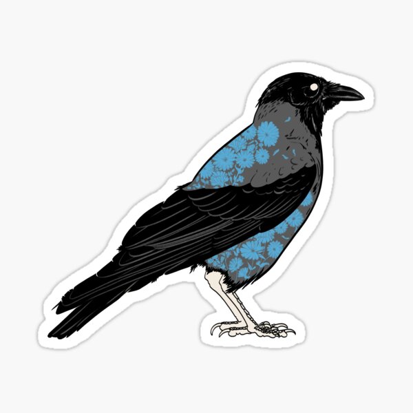 Corvus cornix Sticker
