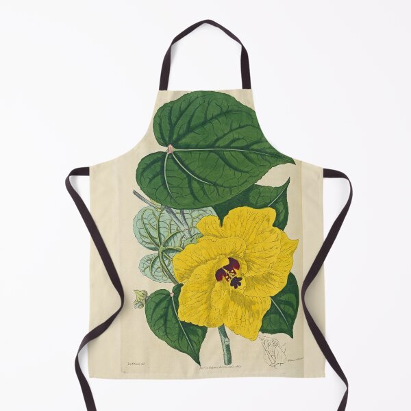 Item preview, Sydenham Edwards' Yellow Hibiscus designed and sold by Lloyd Library & Museum.