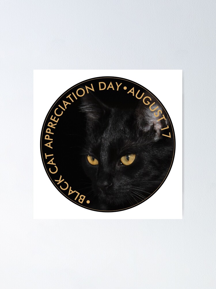 Black cat day fashion